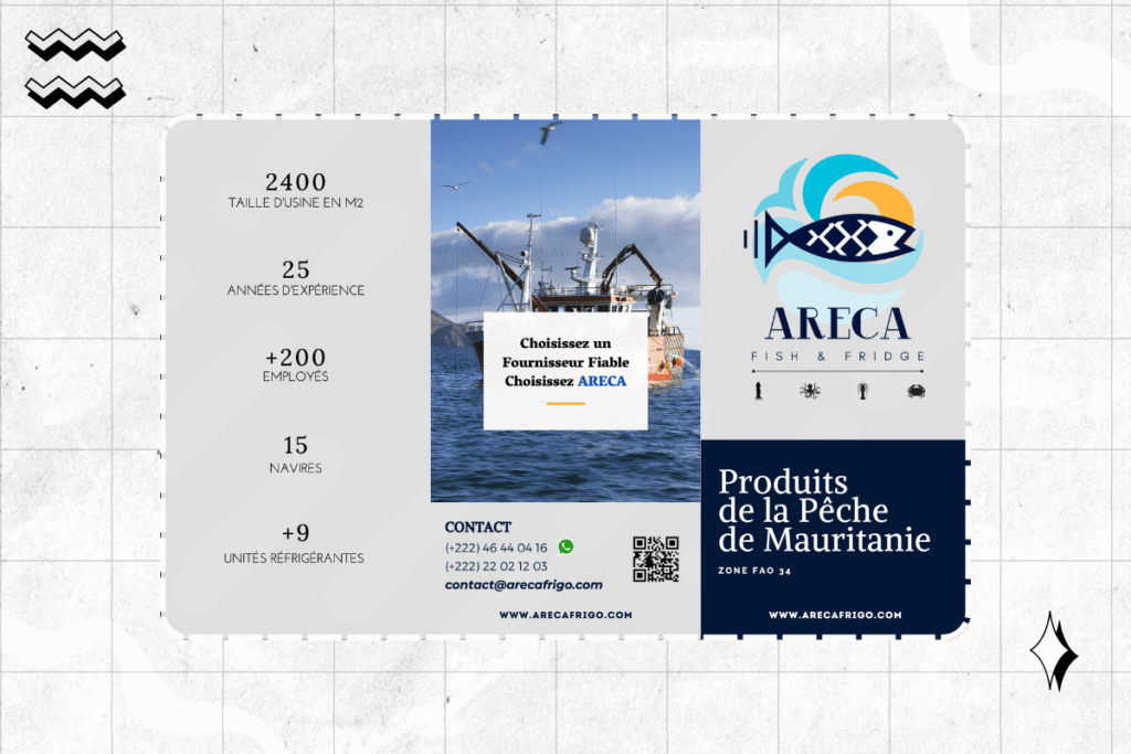 Areca flyer webrim min