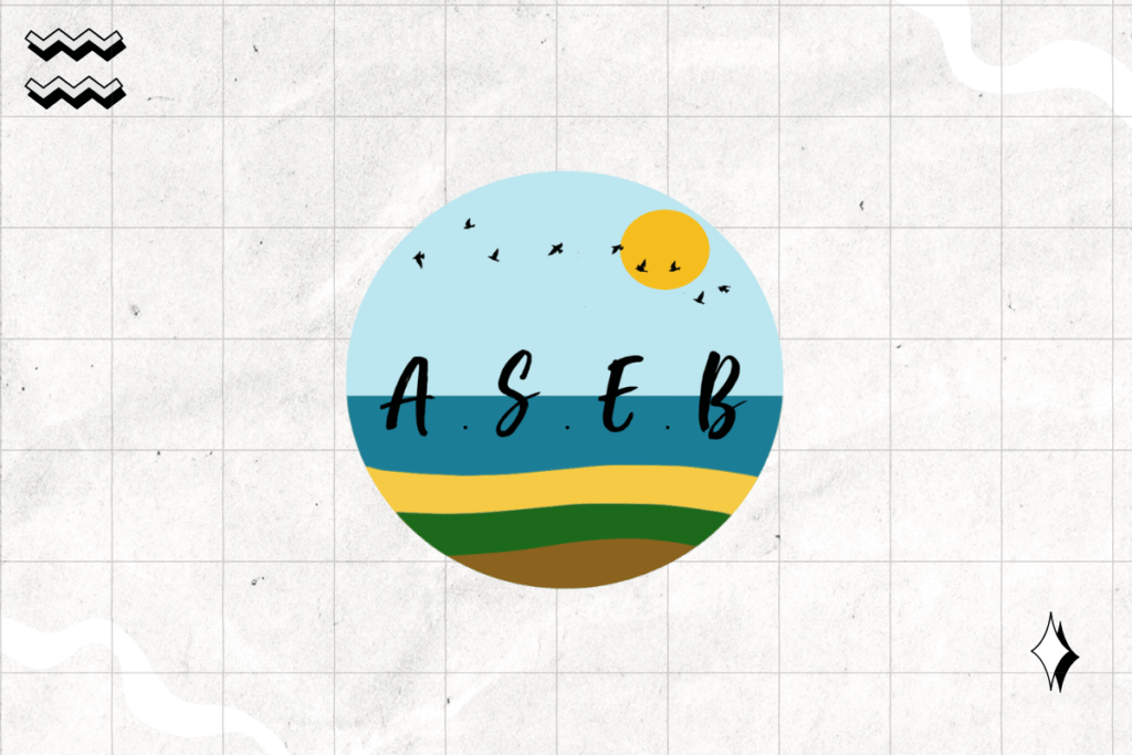 Aseb logo webrim min